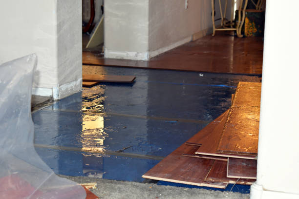 Professional Basement Flood Cleanup technician working in Rome, OH